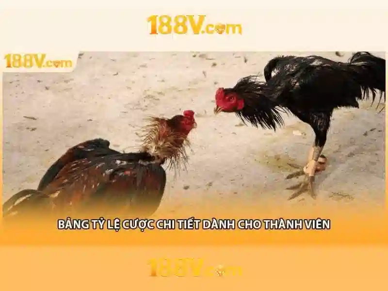 188v. vip: Trải nghiệm đỉnh cao và hành trình đổi mới