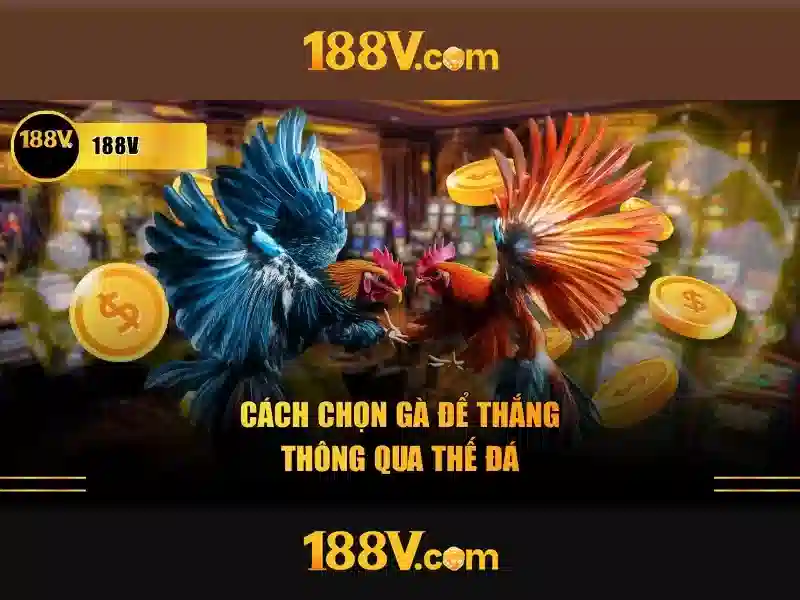 Rút thưởng 188v – Khám phá hành trình và trải nghiệm