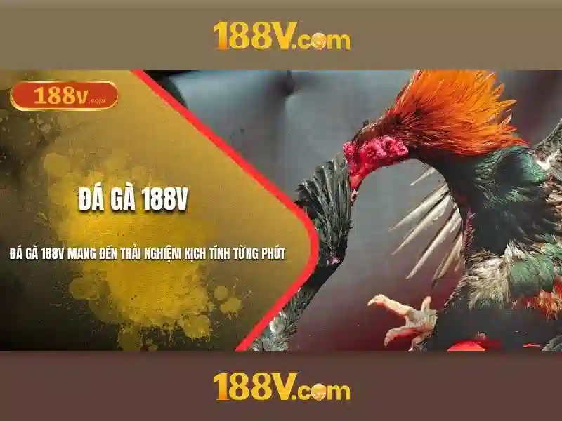 188v vom – Tóm tắt chủ đề và giá trị cốt lõi