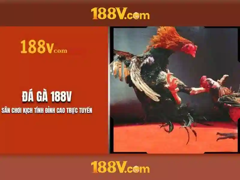 188v no hũ: Định hình trải nghiệm số với 188v app và 188v game