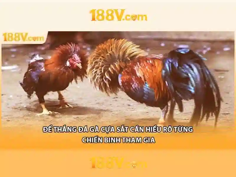 188v vom – Trải nghiệm đỉnh cao và cộng đồng 188v win