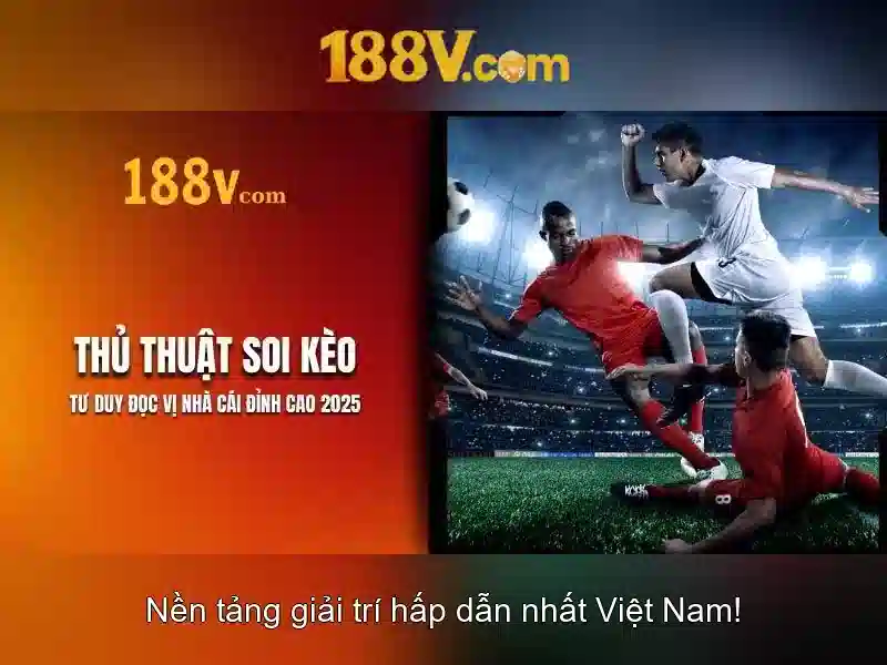 Trải nghiệm người dùng và phản hồi cộng đồng