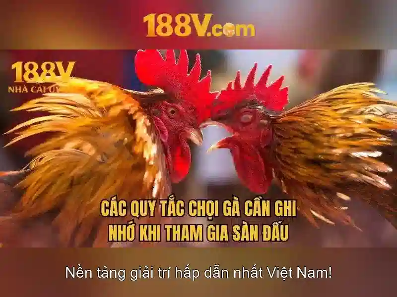 188v . com – Tổng quan chủ đề và giá trị cốt lõi